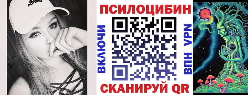 Купить закладки  Грязи  Псилоцибиновые грибы мухоморы 